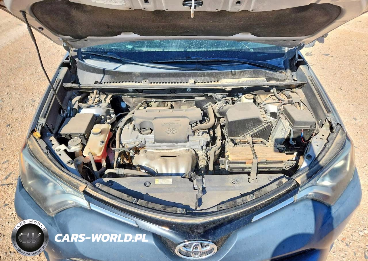 2016 Toyota Rav4 Xle VIN:2T3WFREV0GW268800 - 12