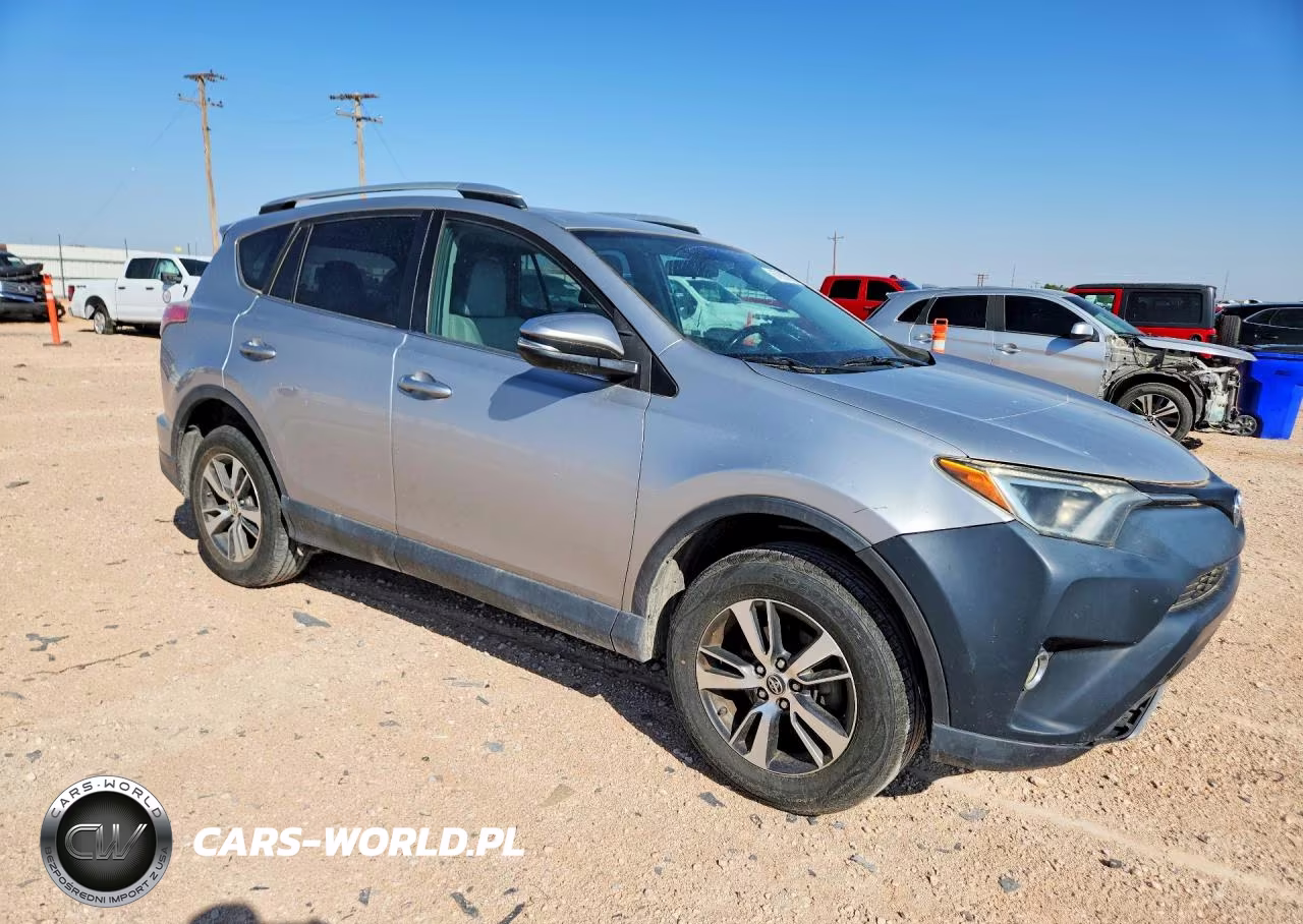 2016 Toyota Rav4 Xle VIN:2T3WFREV0GW268800 - 4