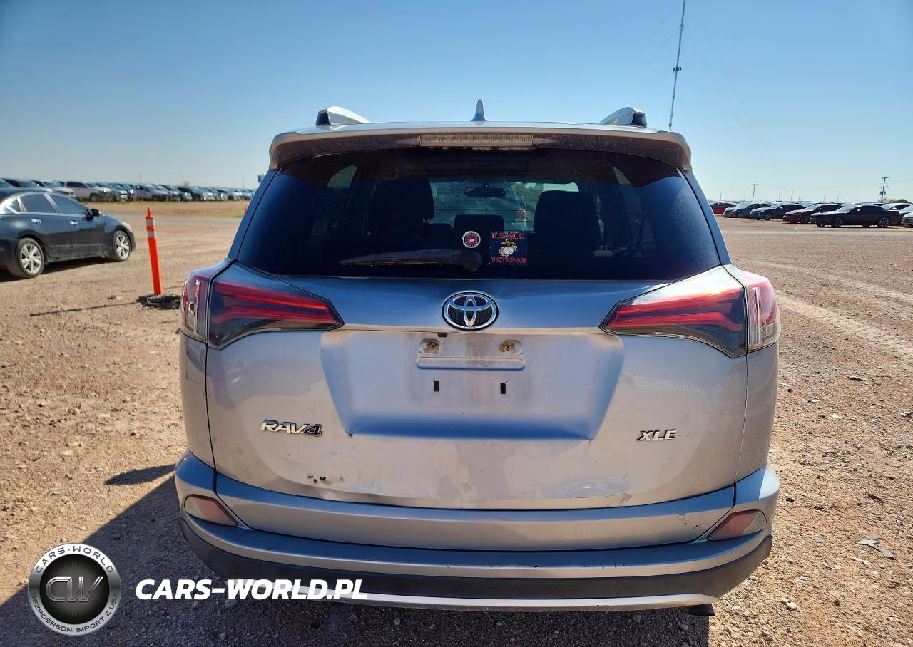 2016 Toyota Rav4 Xle VIN:2T3WFREV0GW268800 - 6