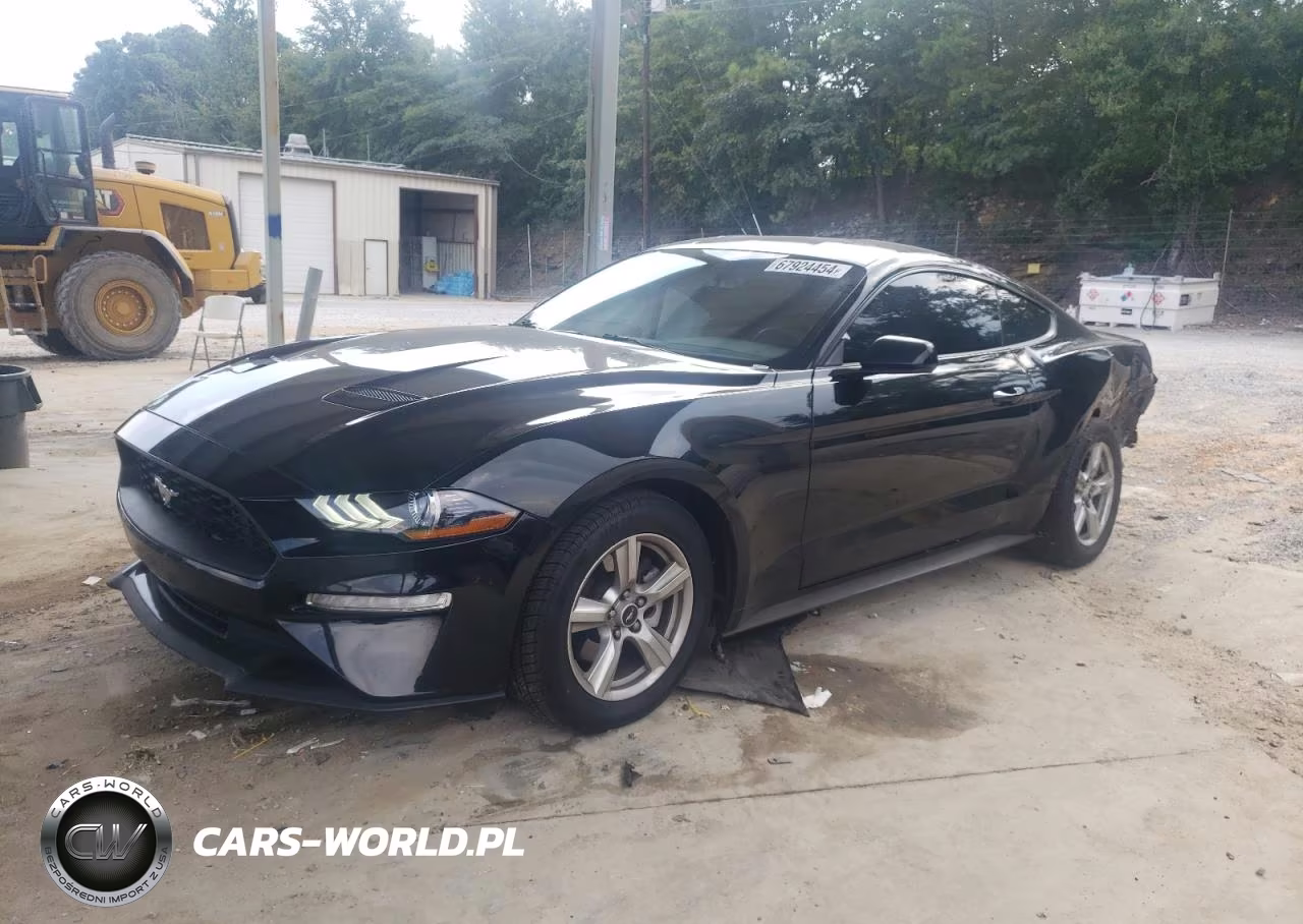 2019 Ford Mustang