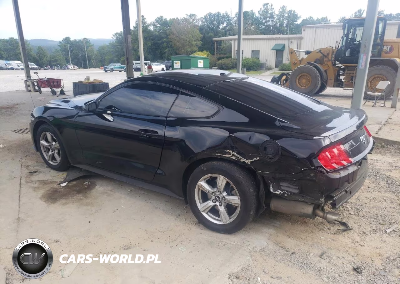 2019 Ford Mustang VIN:1FA6P8TH3K5132199 - 2