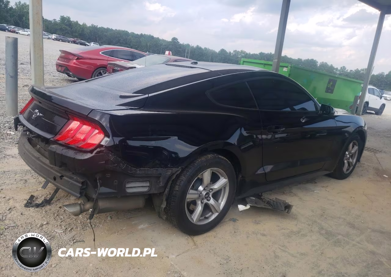 2019 Ford Mustang VIN:1FA6P8TH3K5132199 - 3