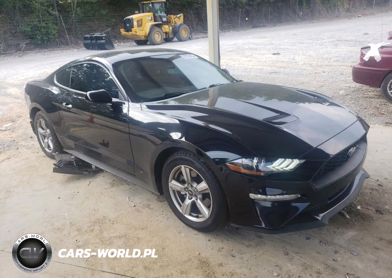 2019 Ford Mustang VIN:1FA6P8TH3K5132199 - 4