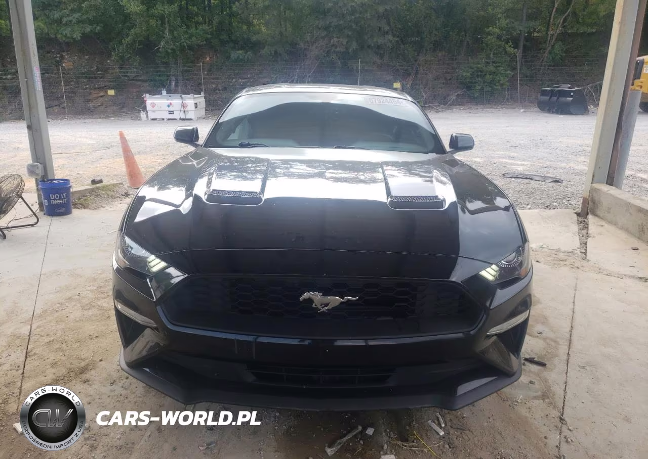 2019 Ford Mustang VIN:1FA6P8TH3K5132199 - 5