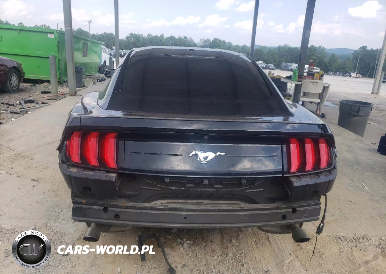 2019 Ford Mustang VIN:1FA6P8TH3K5132199 - 6