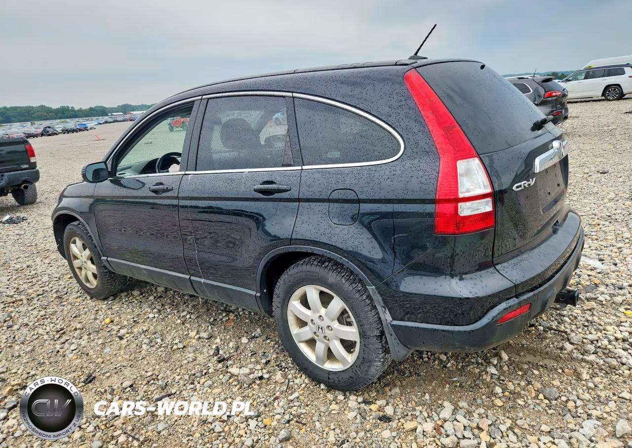 2009 Honda Cr-V Exl VIN:5J6RE48769L023483 - 2