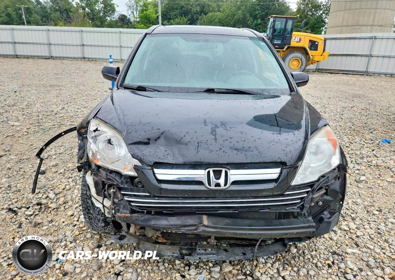 2009 Honda Cr-V Exl VIN:5J6RE48769L023483 - 5