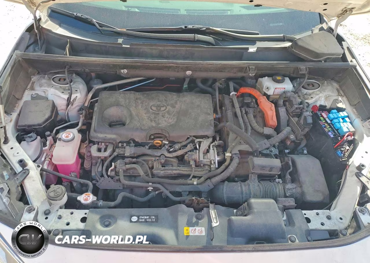 2020 Toyota Rav4 Xse VIN:4T3EWRFV6LU008017 - 12