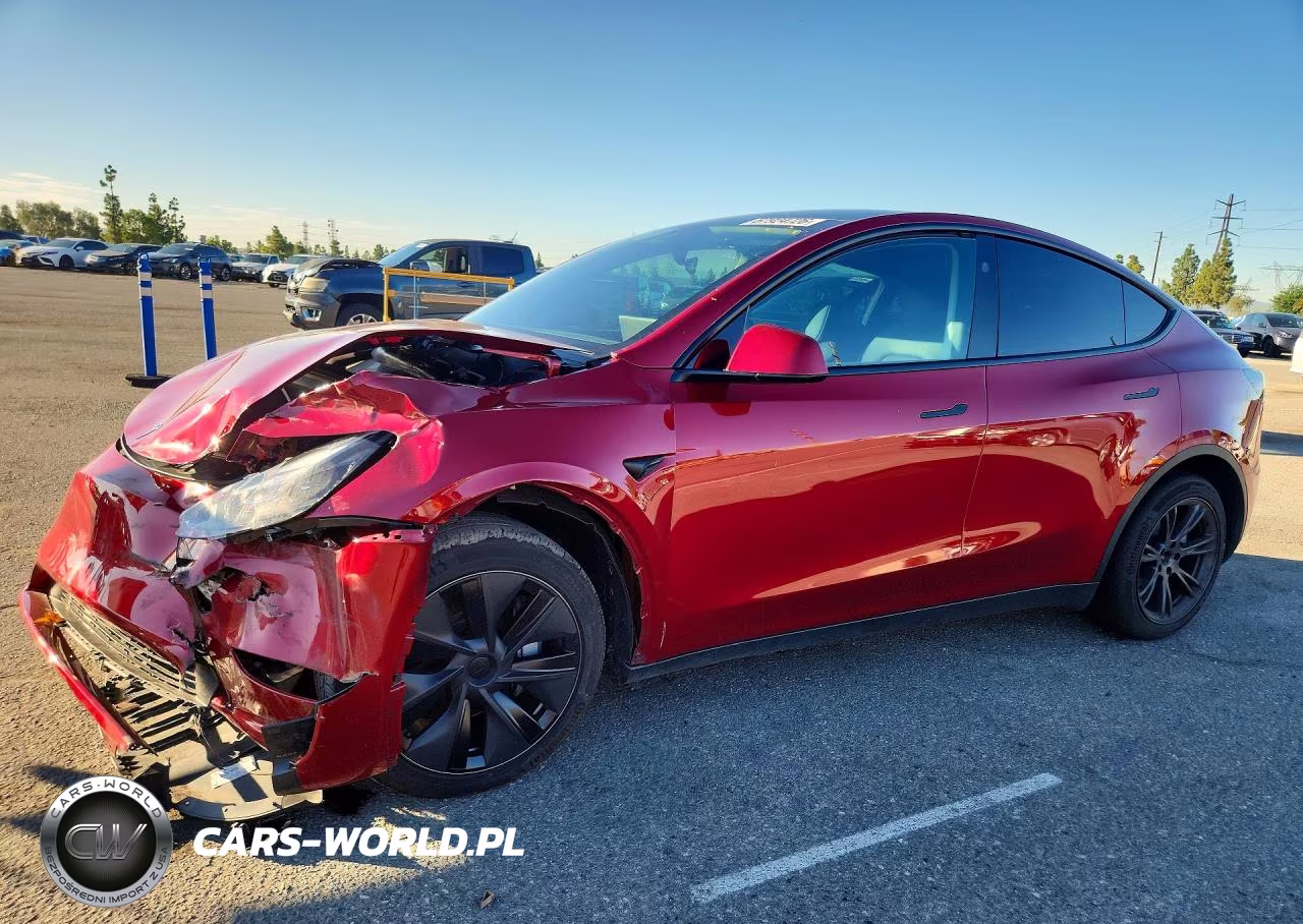 2025 Tesla Model Y VIN:7SAYGDED8SF304637 - 1