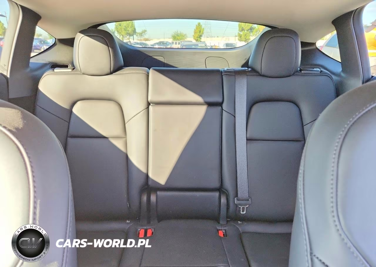 2025 Tesla Model Y VIN:7SAYGDED8SF304637 - 10