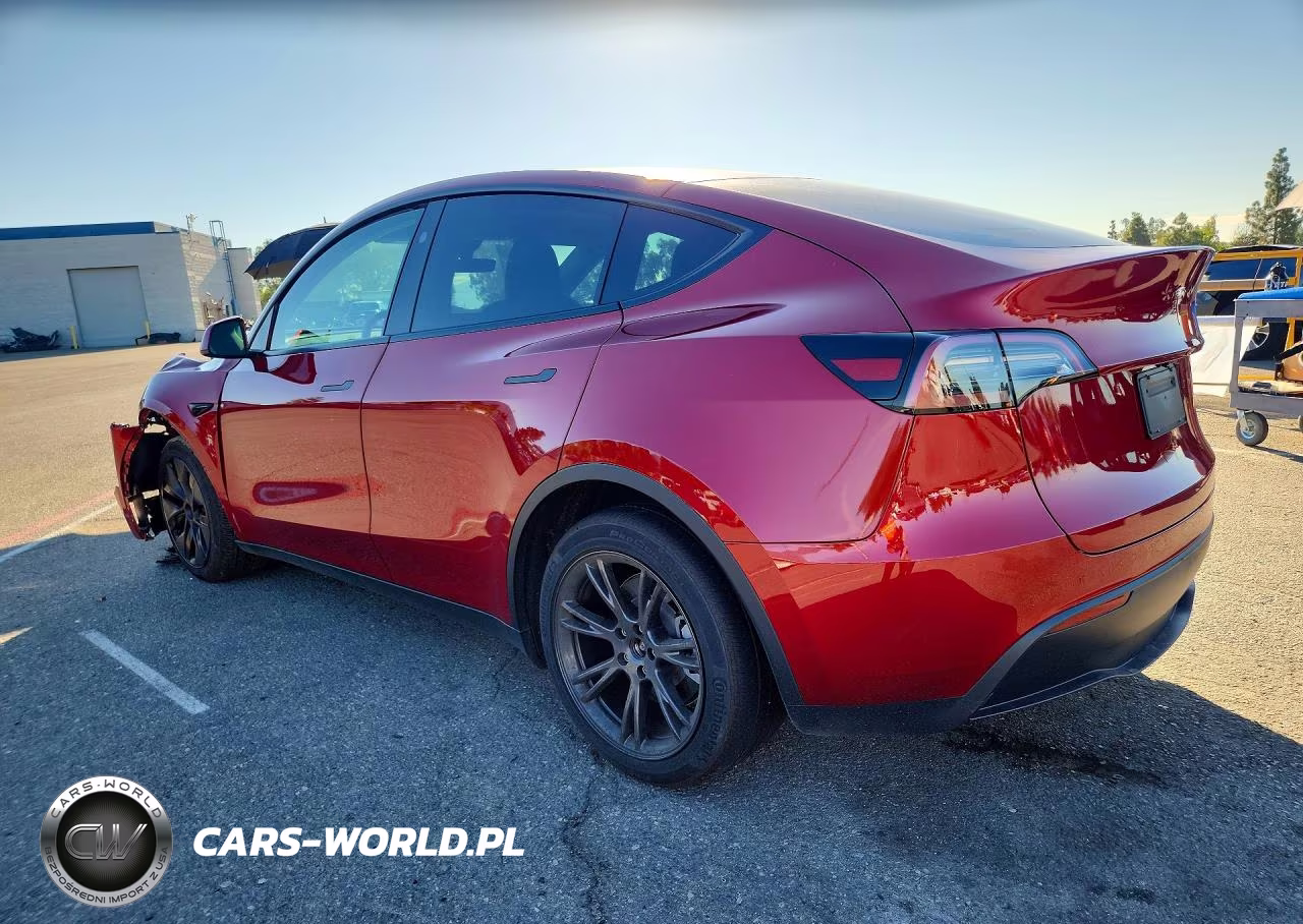 2025 Tesla Model Y VIN:7SAYGDED8SF304637 - 2
