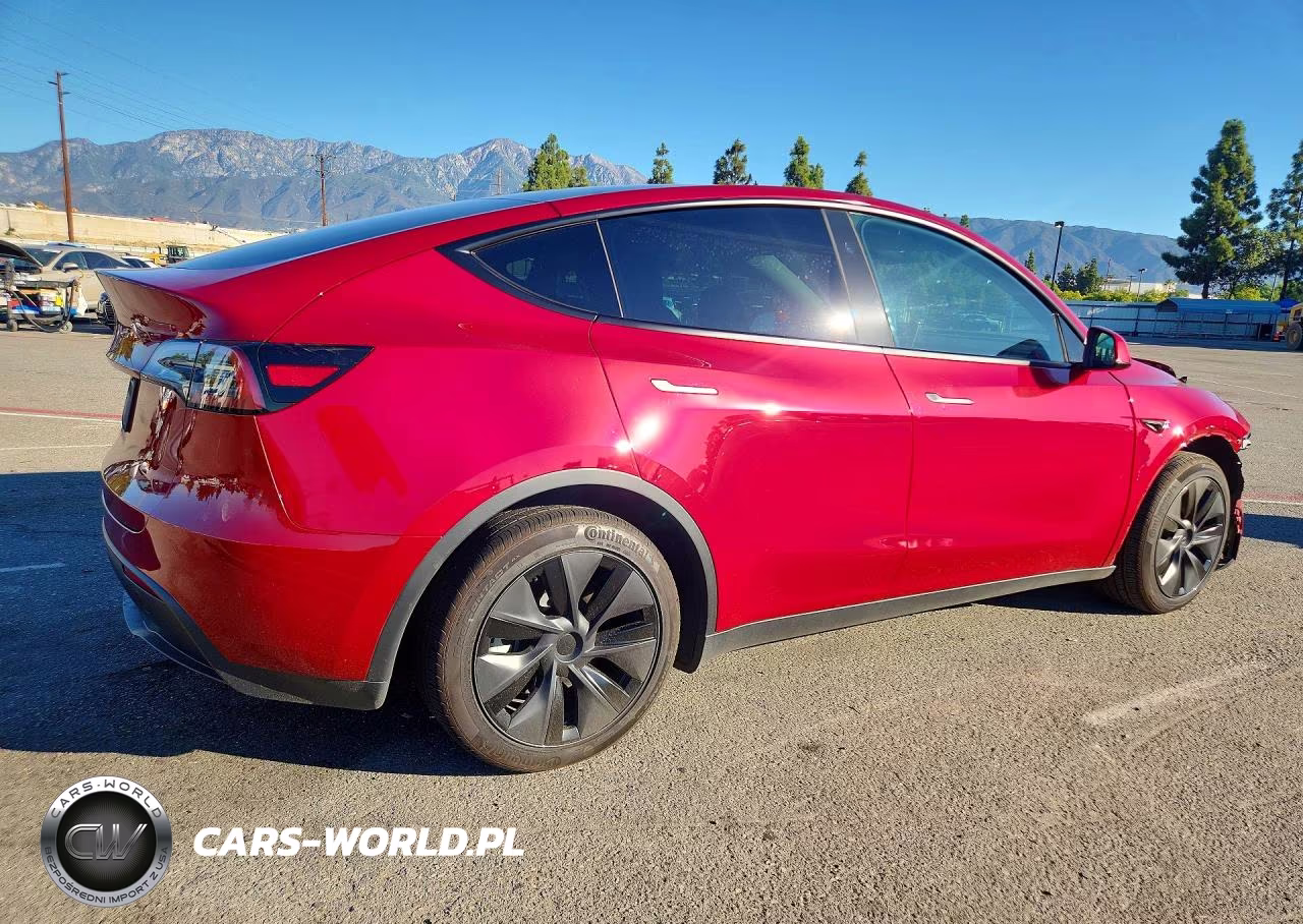 2025 Tesla Model Y VIN:7SAYGDED8SF304637 - 3