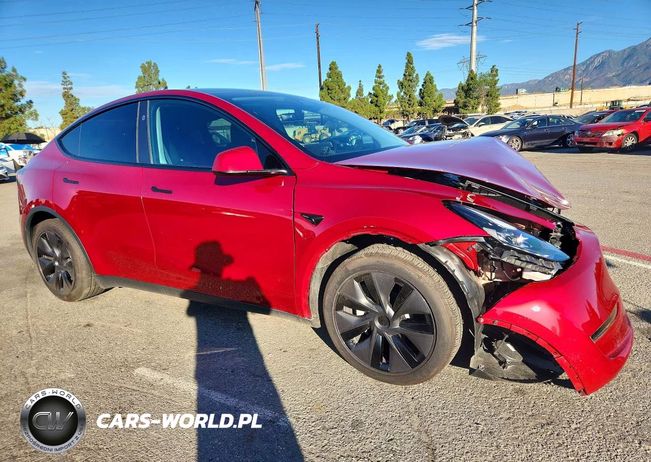 2025 Tesla Model Y VIN:7SAYGDED8SF304637 - 4