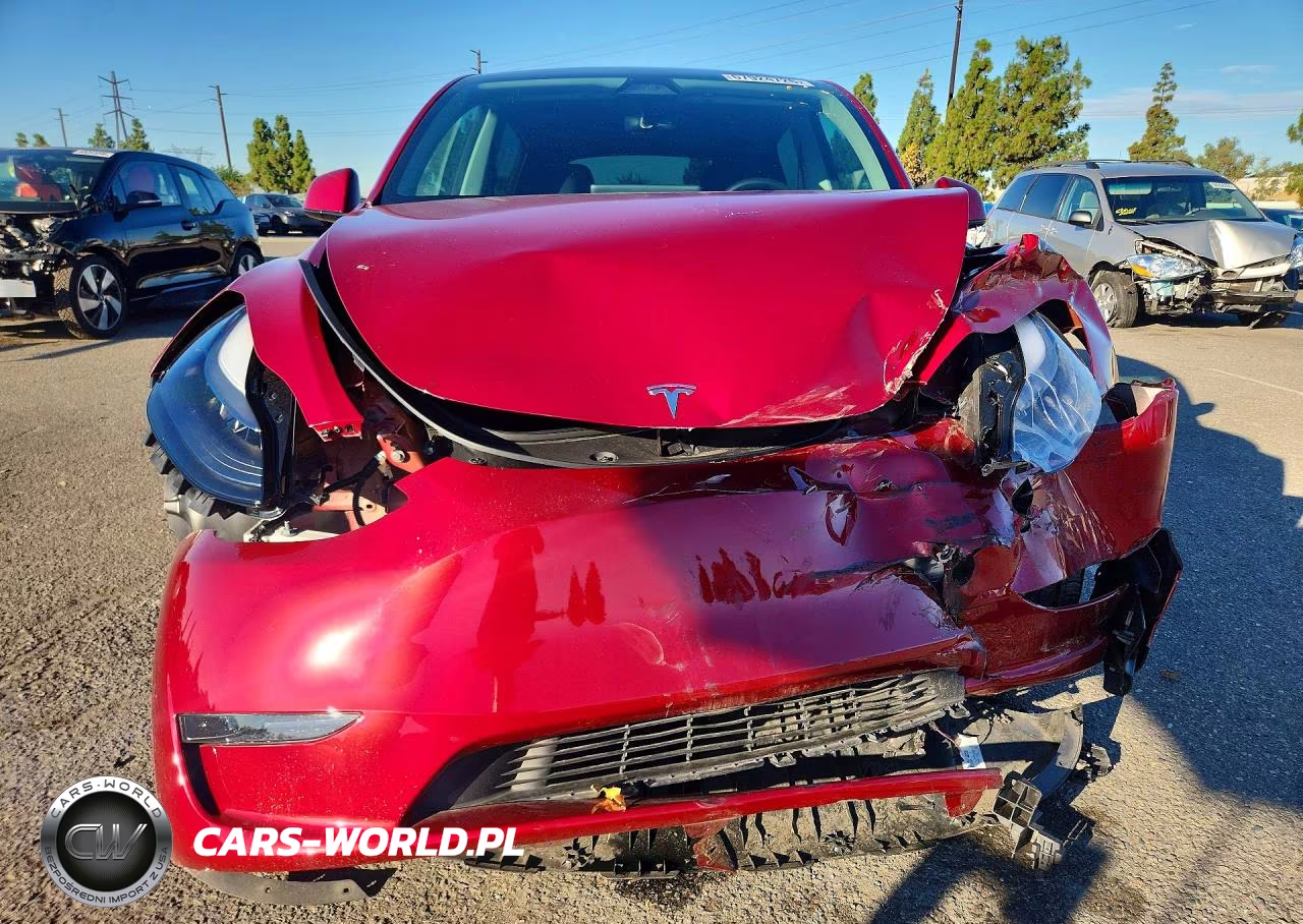 2025 Tesla Model Y VIN:7SAYGDED8SF304637 - 5
