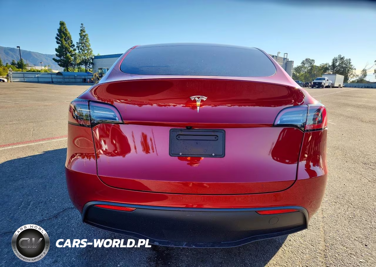 2025 Tesla Model Y VIN:7SAYGDED8SF304637 - 6