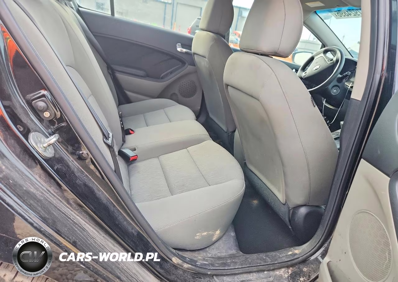 2016 Kia Forte Lx VIN:KNAFK4A61G5521771 - 10