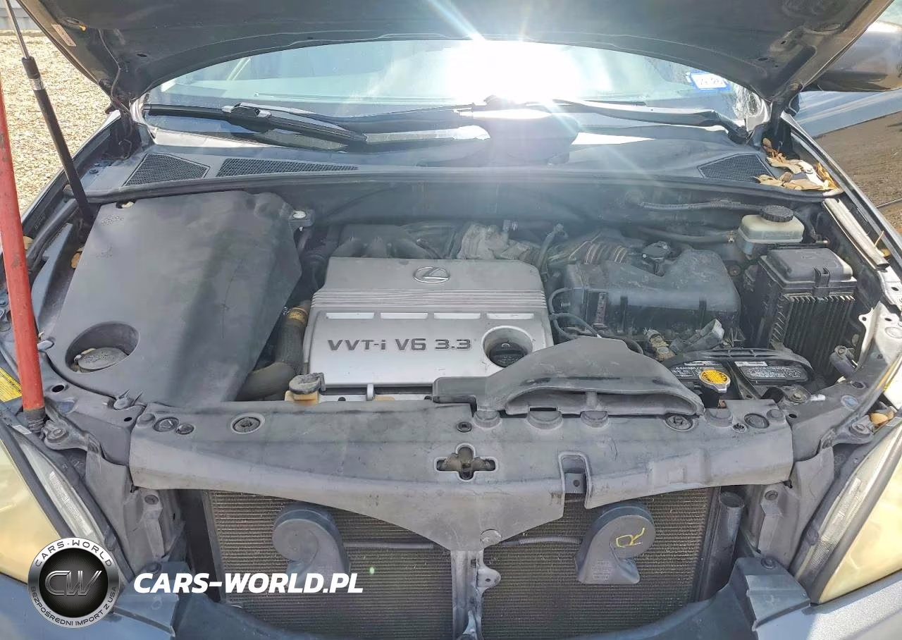2005 Lexus Rx 330 VIN:JTJGA31U150058637 - 11