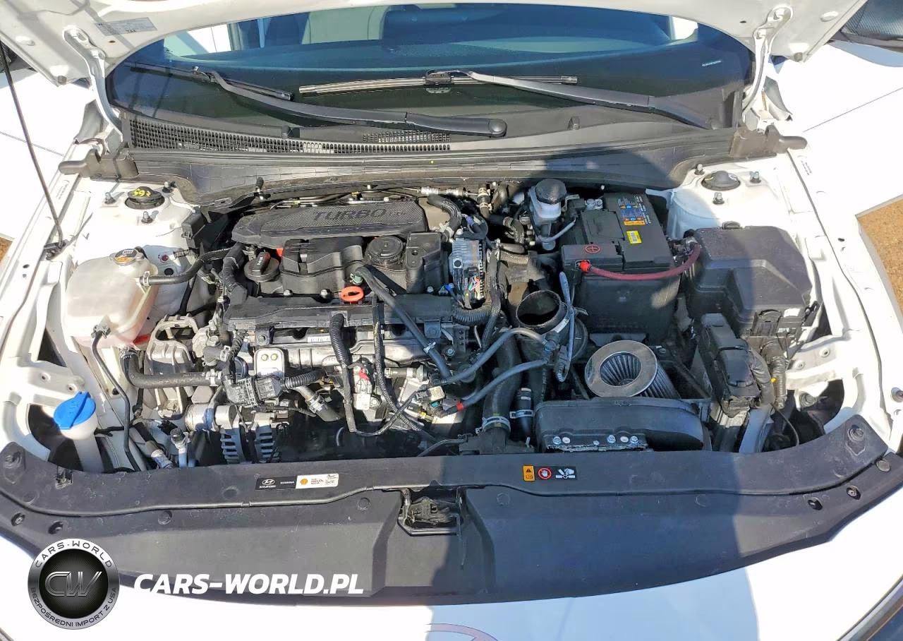 2025 Hyundai Elantra N Line VIN:KMHLR4DFXSU079466 - 11