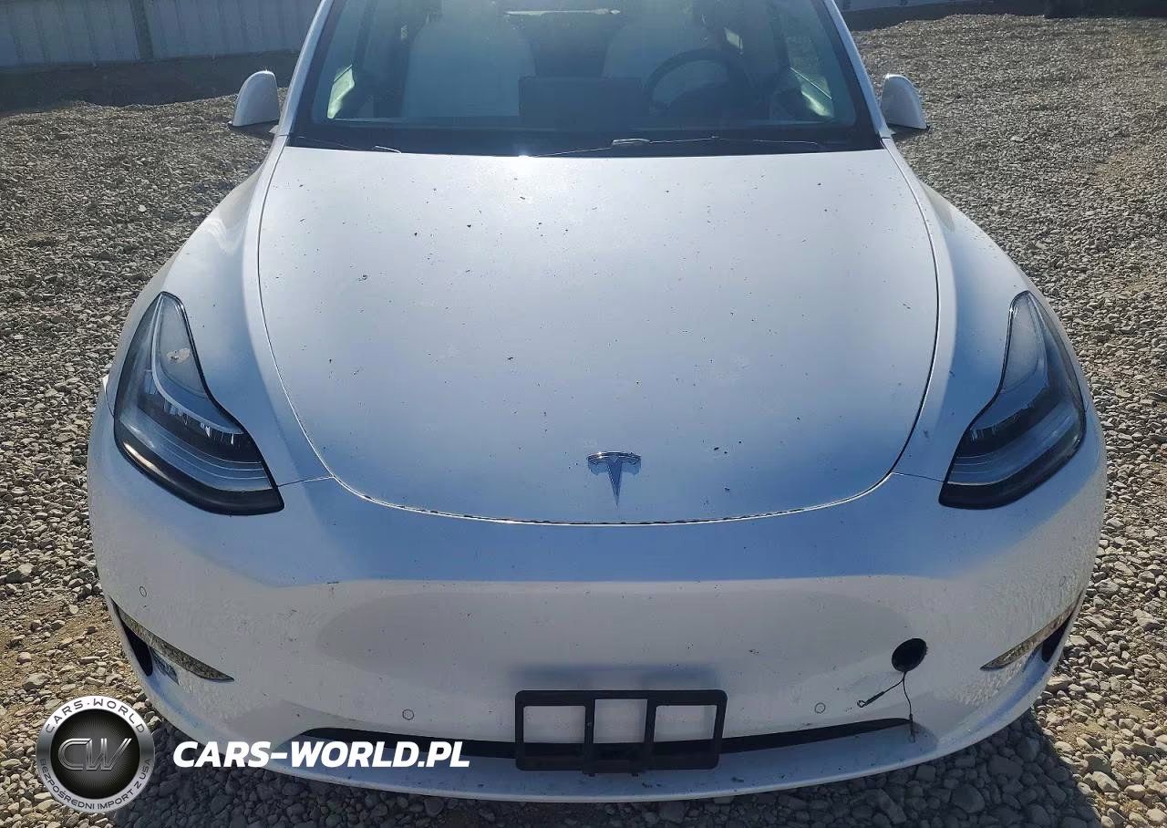 2021 Tesla Model Y VIN:5YJYGAEE1MF212261 - 11