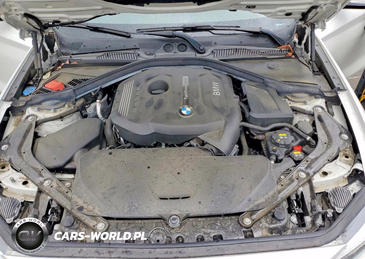 2018 BMW 230I VIN:WBA2M7C56JVD51349 - 11