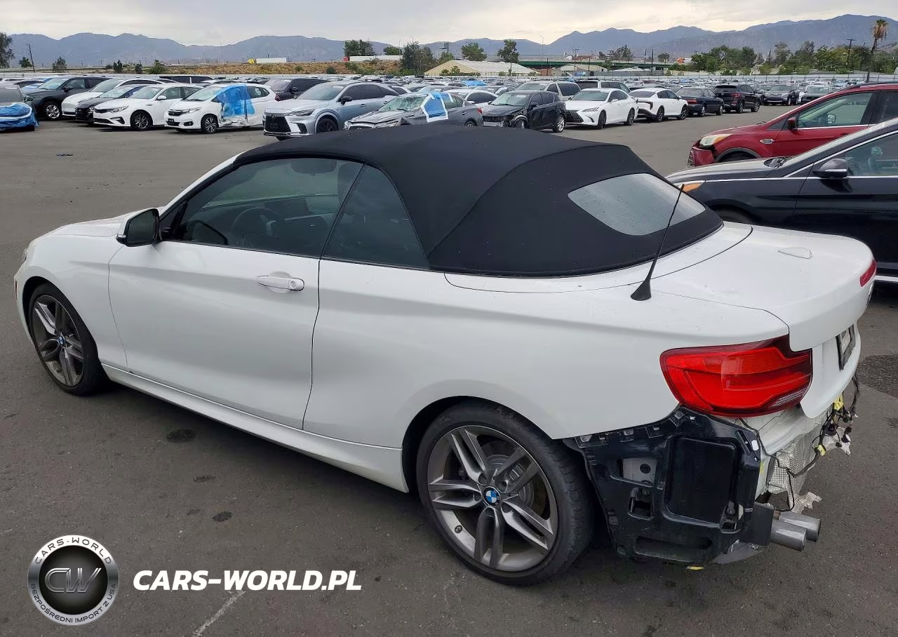 2018 BMW 230I VIN:WBA2M7C56JVD51349 - 2