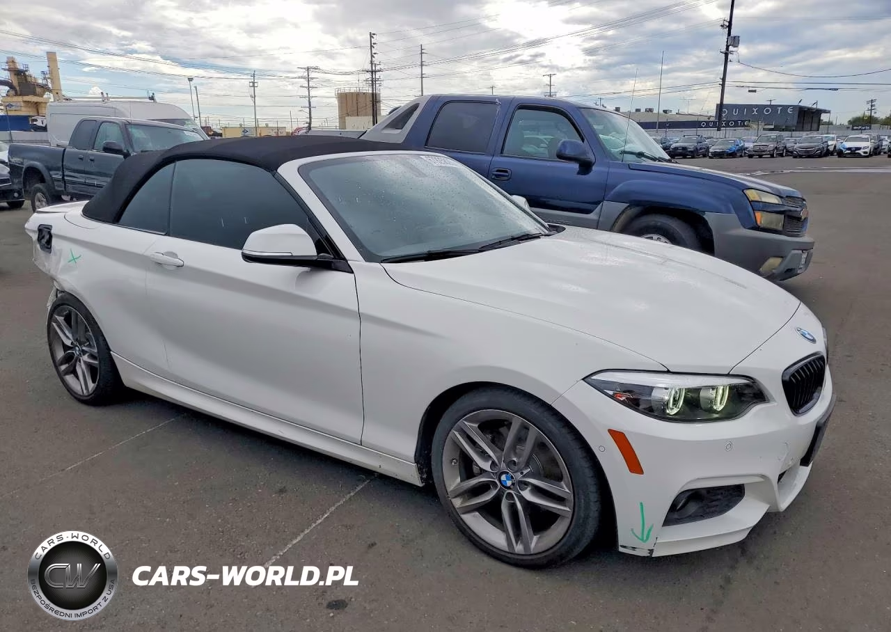 2018 BMW 230I VIN:WBA2M7C56JVD51349 - 4
