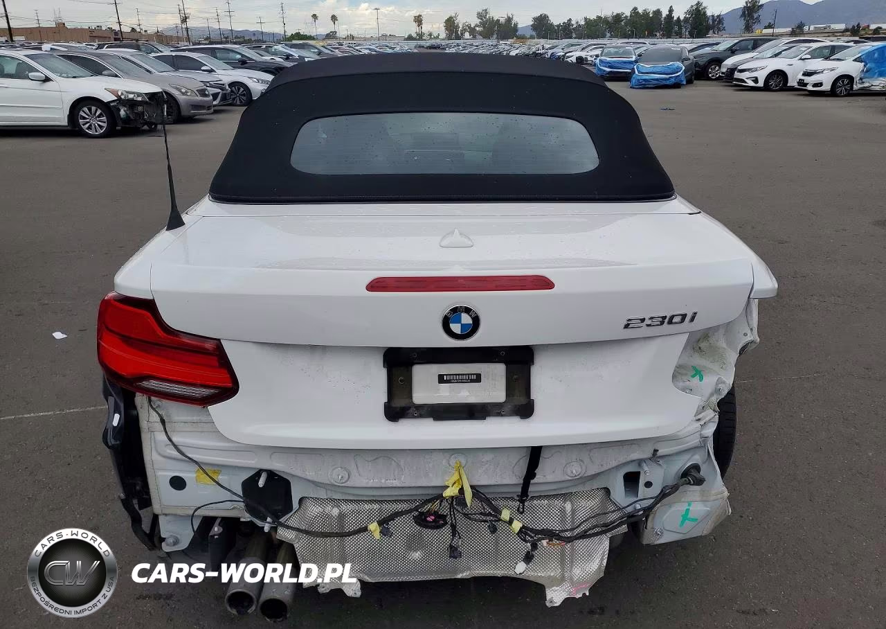 2018 BMW 230I VIN:WBA2M7C56JVD51349 - 6