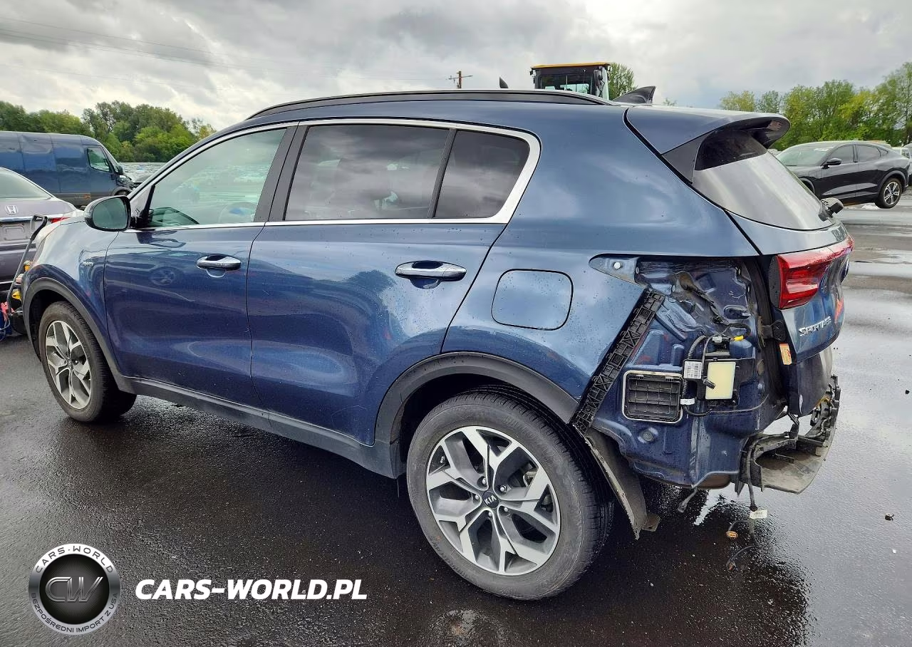 2022 Kia Sportage Ex VIN:KNDPNCAC7N7027446 - 2