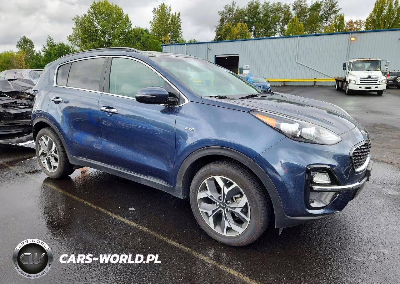 2022 Kia Sportage Ex VIN:KNDPNCAC7N7027446 - 4