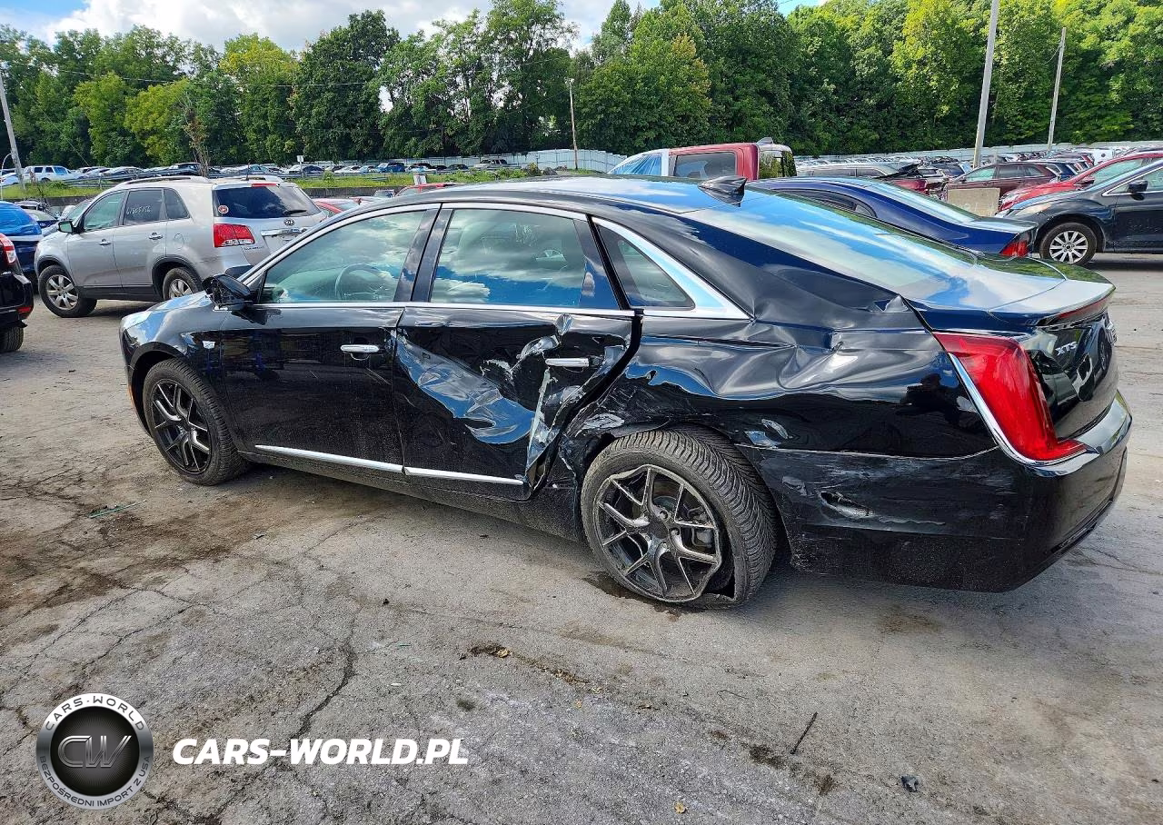 2019 Cadillac Xts VIN:2G61U5S35K9125794 - 2