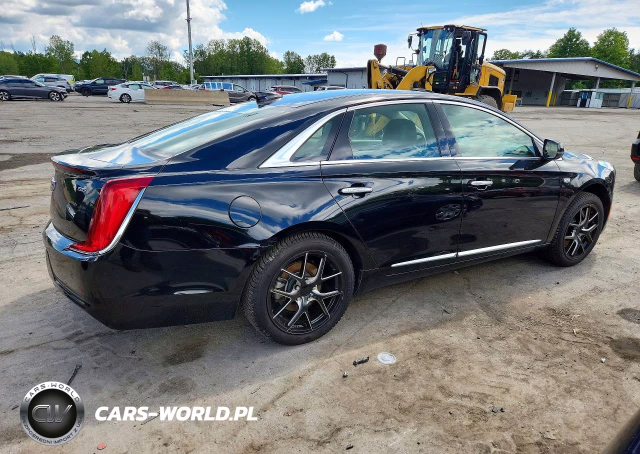 2019 Cadillac Xts VIN:2G61U5S35K9125794 - 3