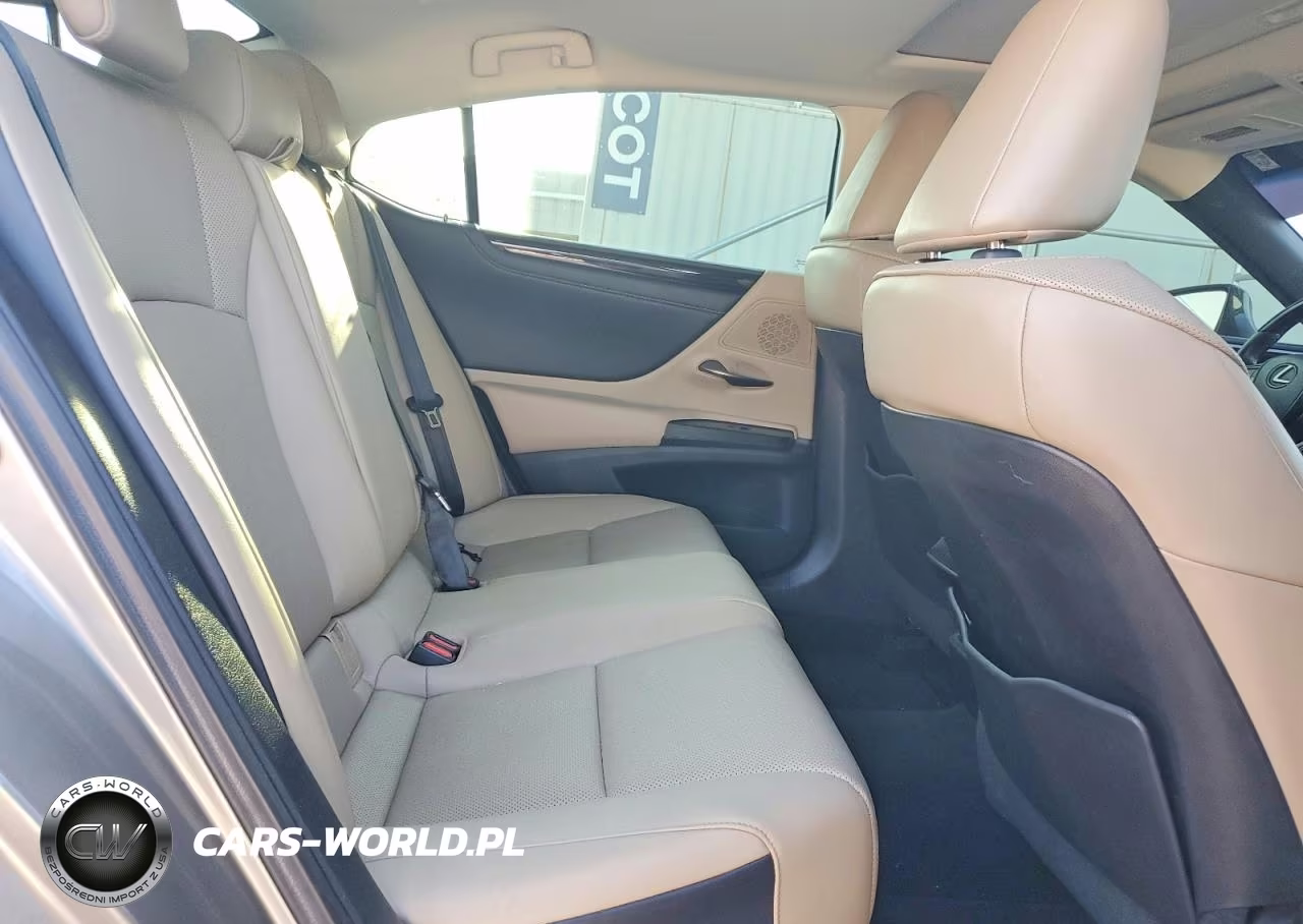 2020 Lexus Es 350 VIN:58ADZ1B12LU061483 - 10