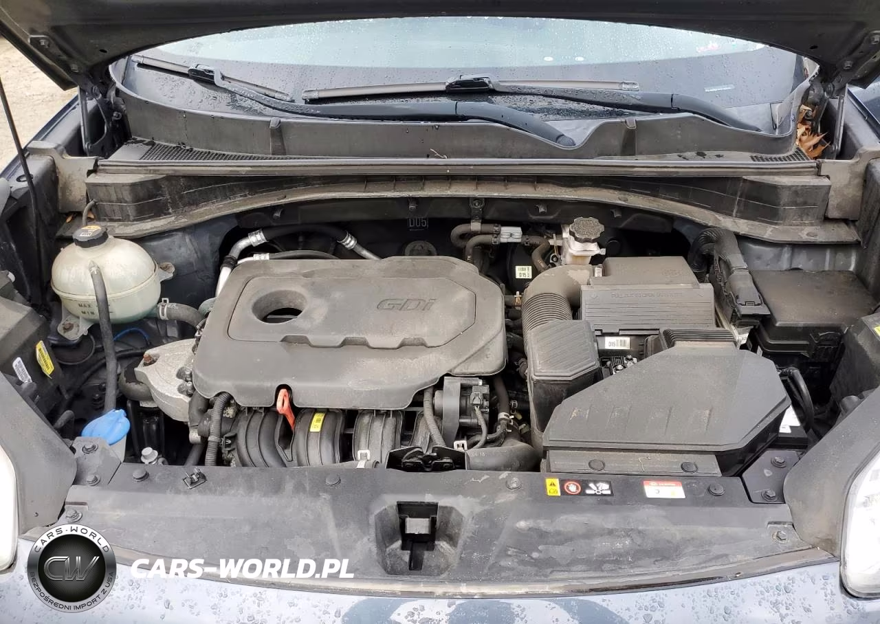 2019 Kia Sportage Lx VIN:KNDPMCACXK7625349 - 12