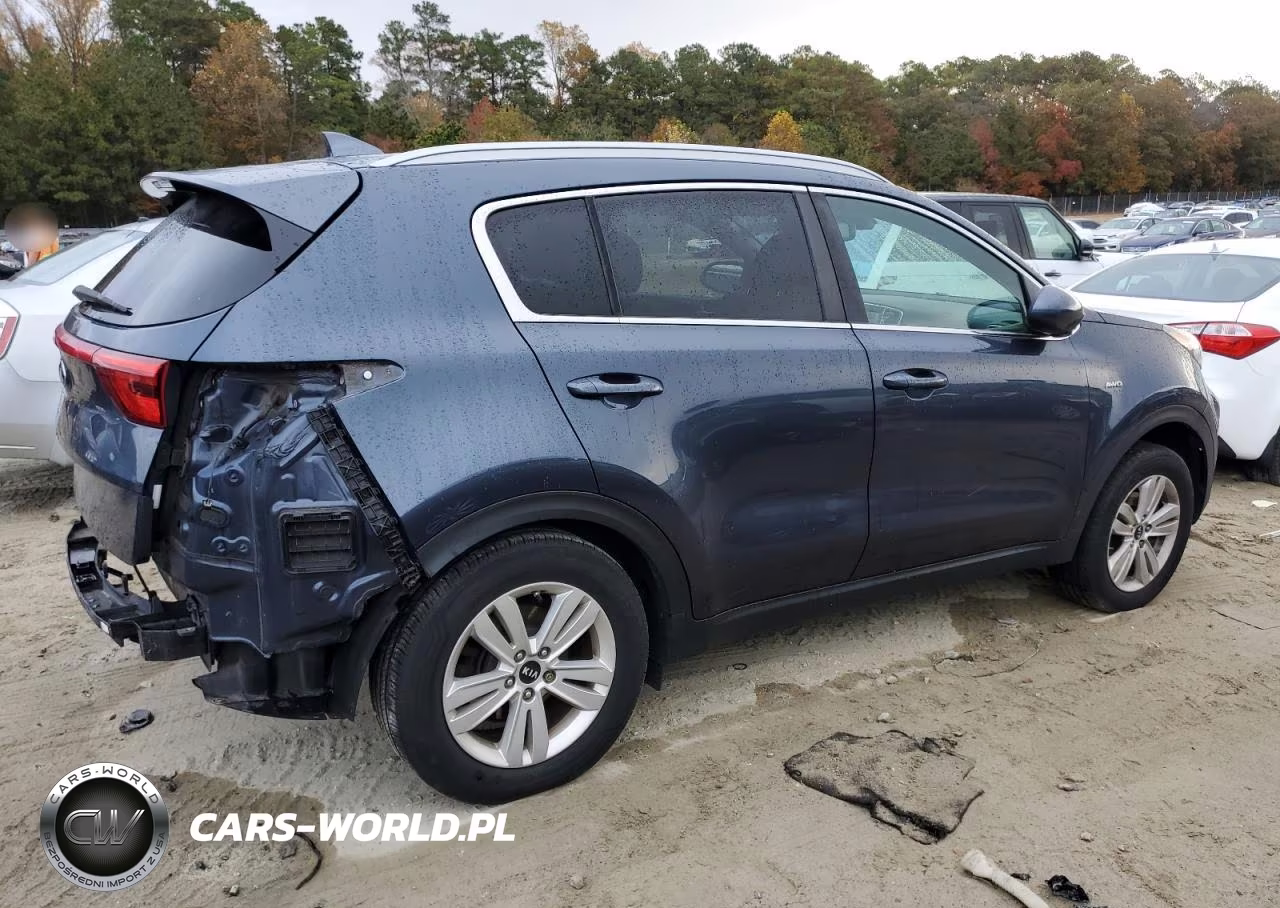 2019 Kia Sportage Lx VIN:KNDPMCACXK7625349 - 3