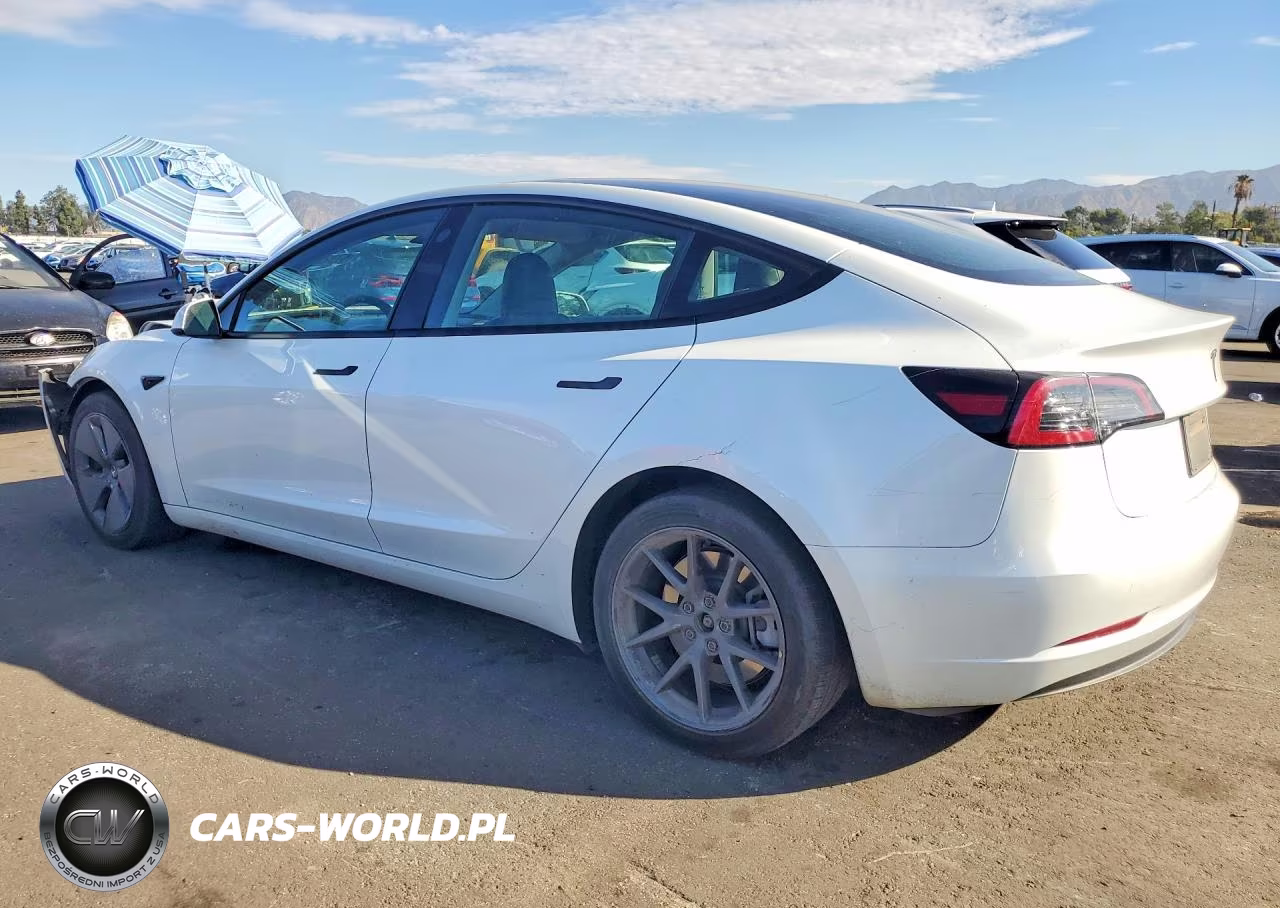 2023 Tesla Model 3 VIN:5YJ3E1EA3PF482559 - 2