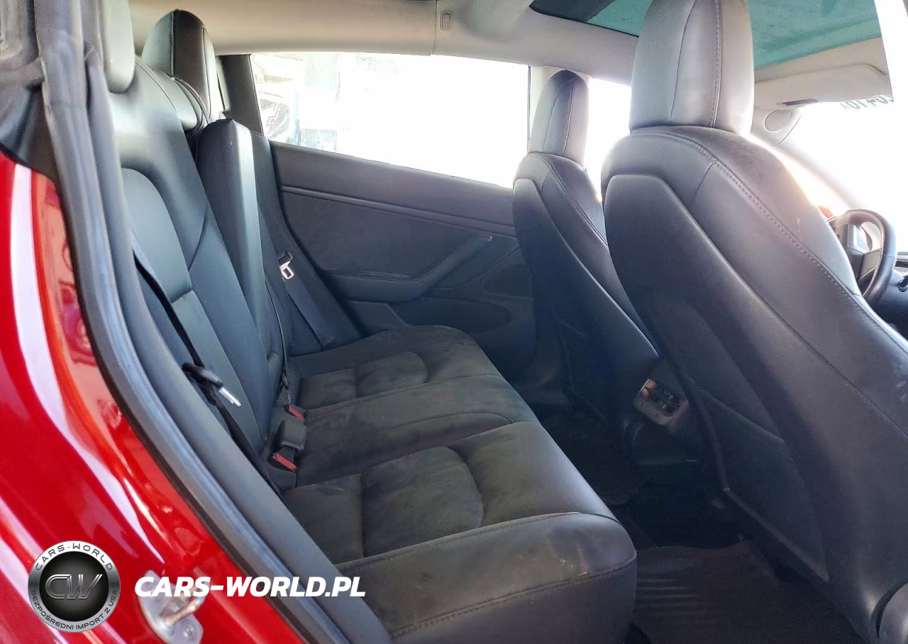 2019 Tesla Model 3 VIN:5YJ3E1EA5KF396517 - 10