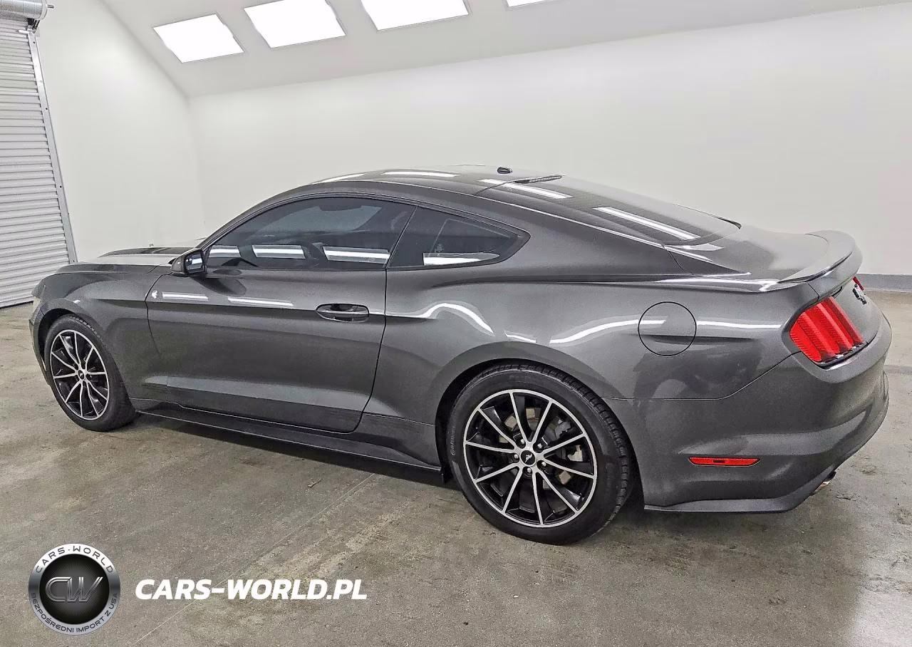 2016 Ford Mustang VIN:1FA6P8TH9G5317865 - 2