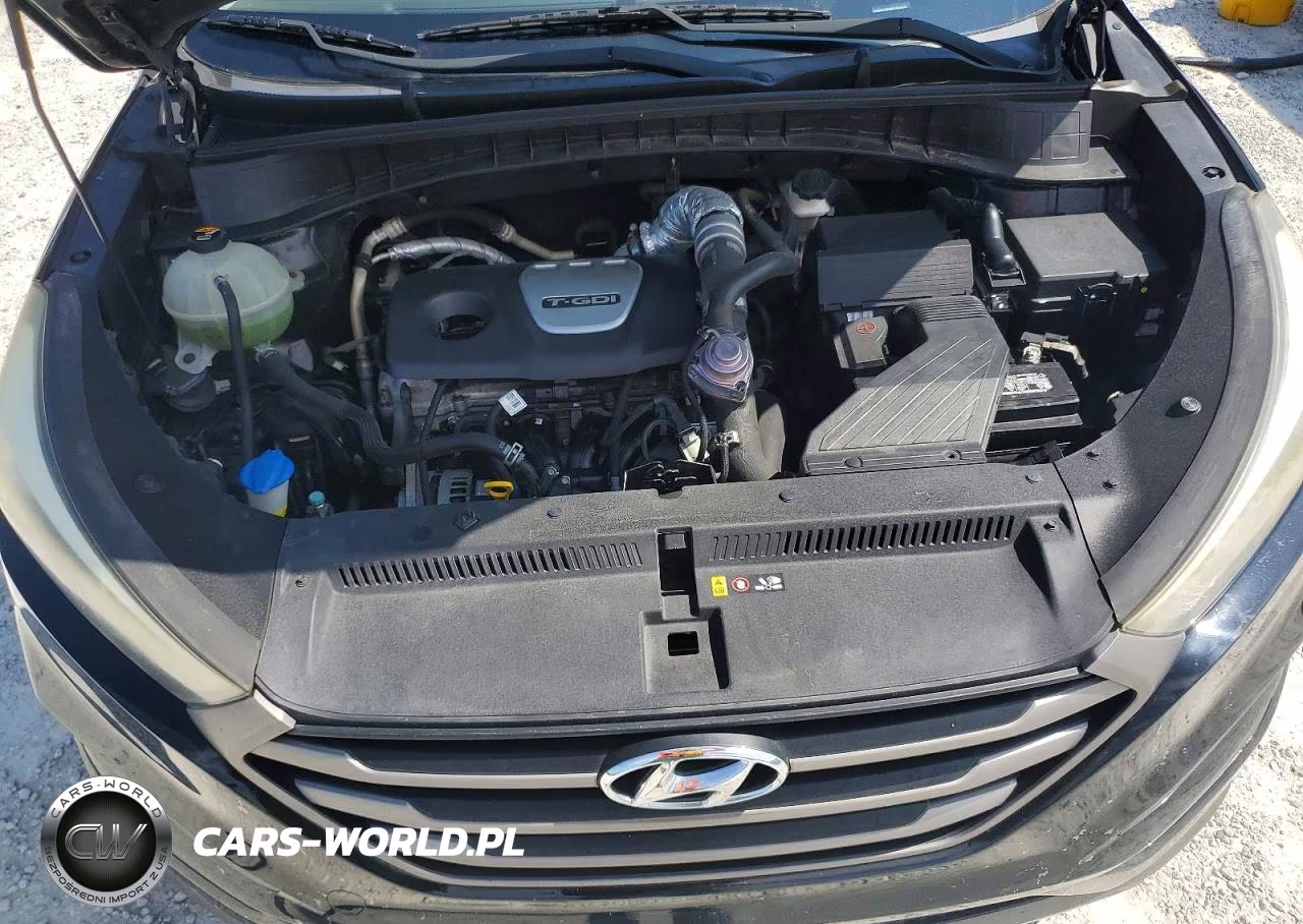 2016 Hyundai Tucson Eco VIN:KM8J3CA28GU083463 - 12