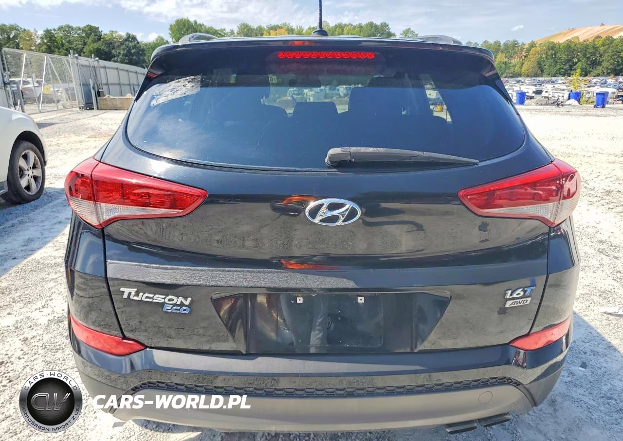 2016 Hyundai Tucson Eco VIN:KM8J3CA28GU083463 - 6