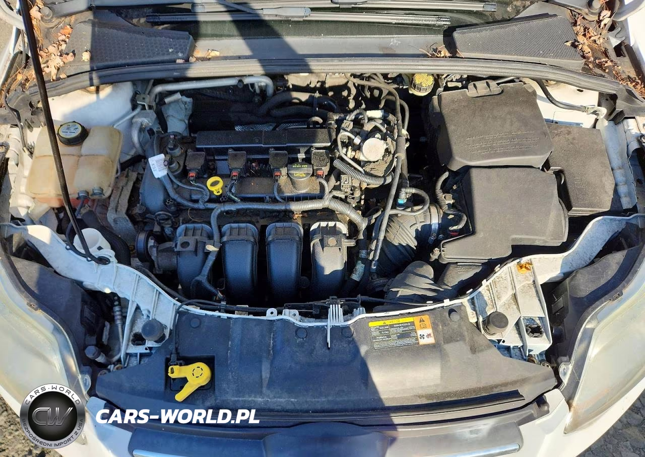 2013 Ford Focus Se VIN:1FADP3F29DL321701 - 11