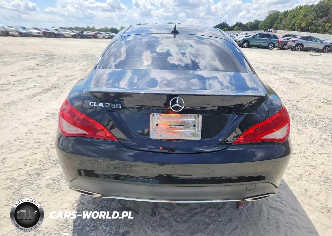2019 Mercedes-Benz Cla 250 VIN:WDDSJ4EB6KN739036 - 6