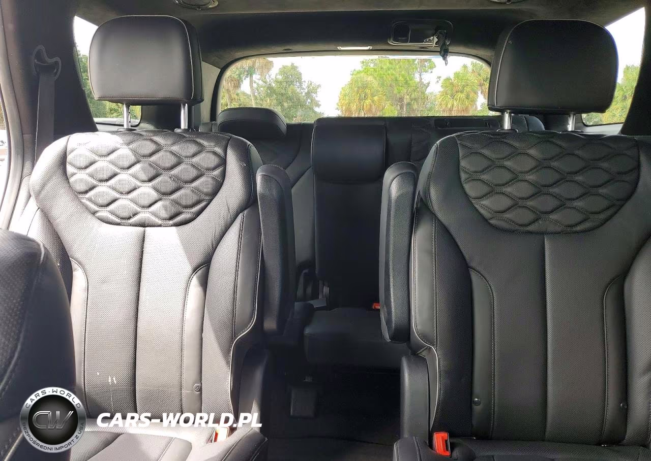 2022 Hyundai Palisade Calligraphy VIN:KM8R74HE0NU469966 - 10