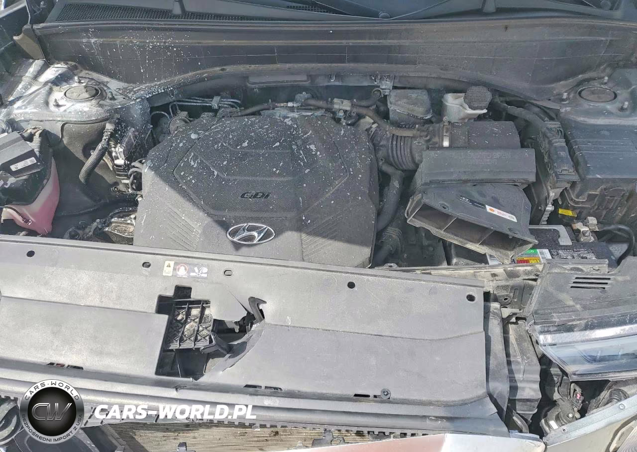 2022 Hyundai Palisade Calligraphy VIN:KM8R74HE0NU469966 - 12
