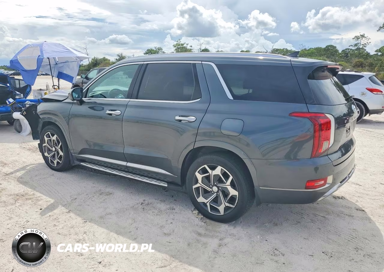 2022 Hyundai Palisade Calligraphy VIN:KM8R74HE0NU469966 - 2