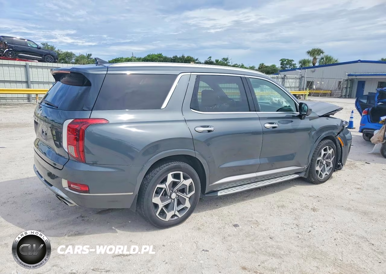2022 Hyundai Palisade Calligraphy VIN:KM8R74HE0NU469966 - 3