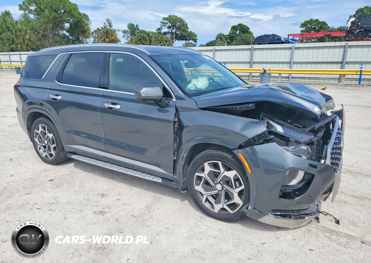 2022 Hyundai Palisade Calligraphy VIN:KM8R74HE0NU469966 - 4