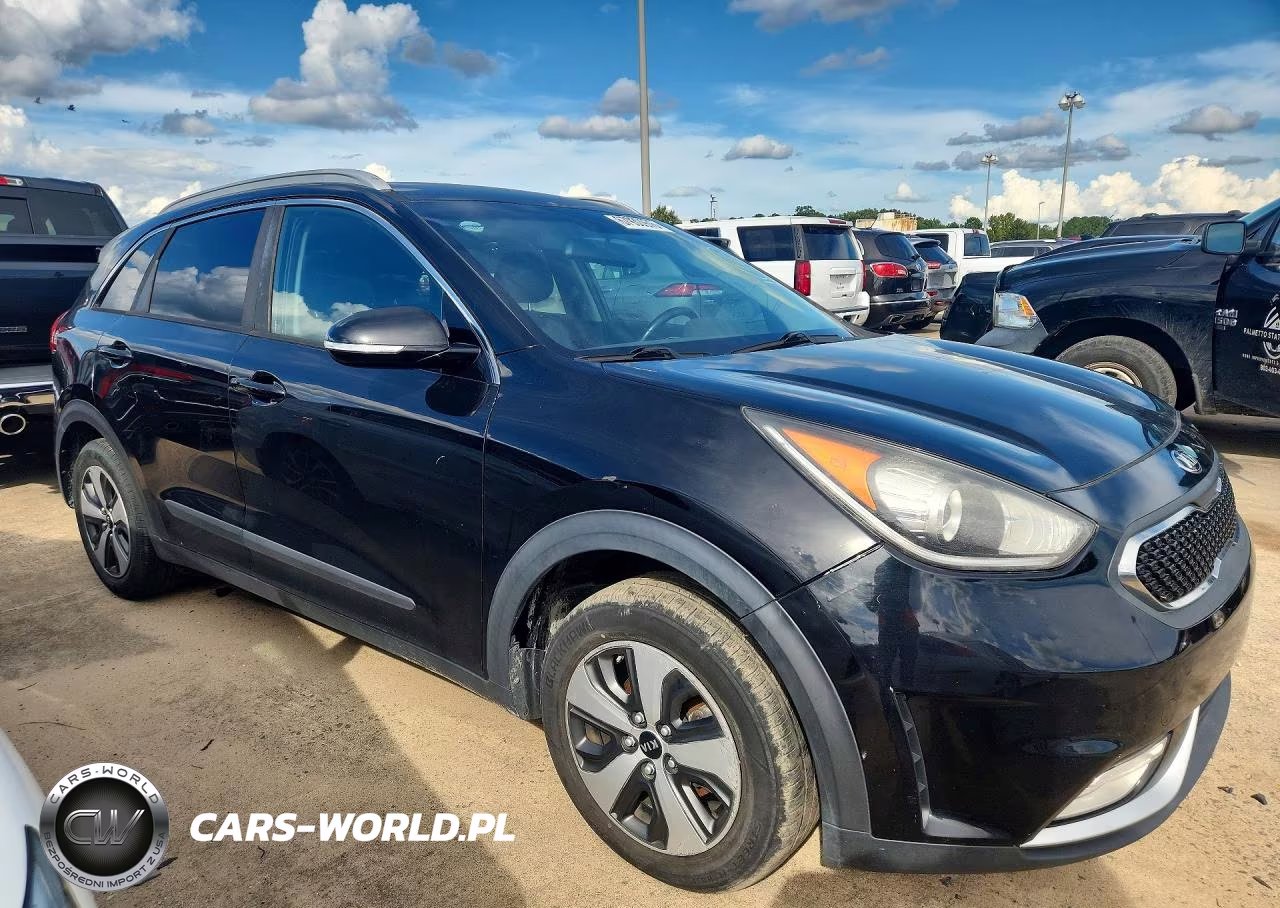 2017 Kia Niro Lxs Special Edition VIN:KNDCC3LC4H5065900 - 4