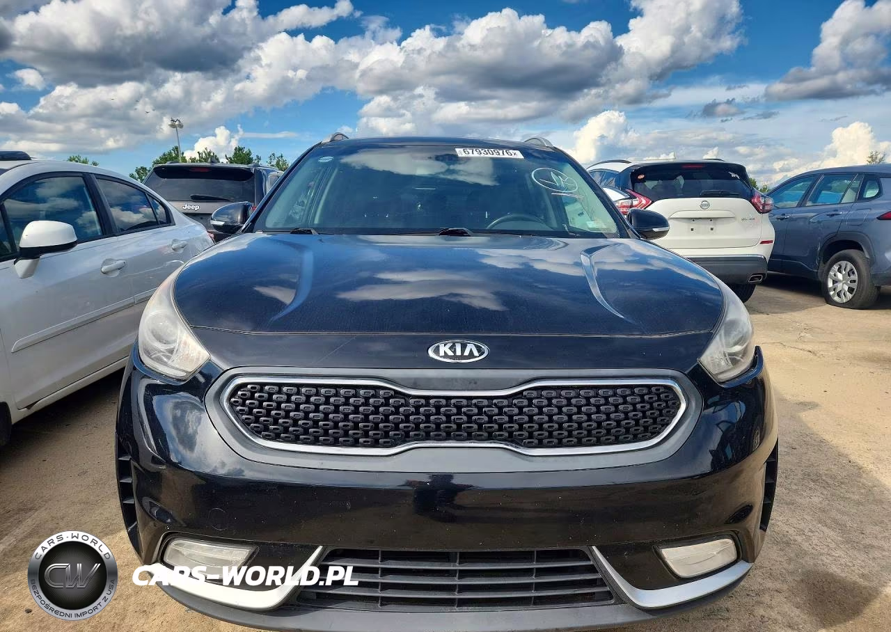 2017 Kia Niro Lxs Special Edition VIN:KNDCC3LC4H5065900 - 5