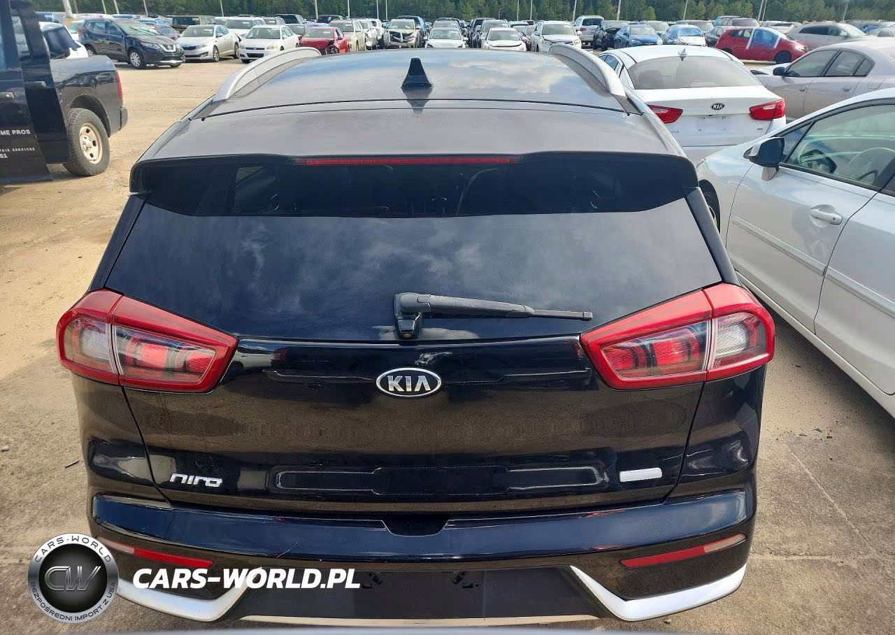 2017 Kia Niro Lxs Special Edition VIN:KNDCC3LC4H5065900 - 6
