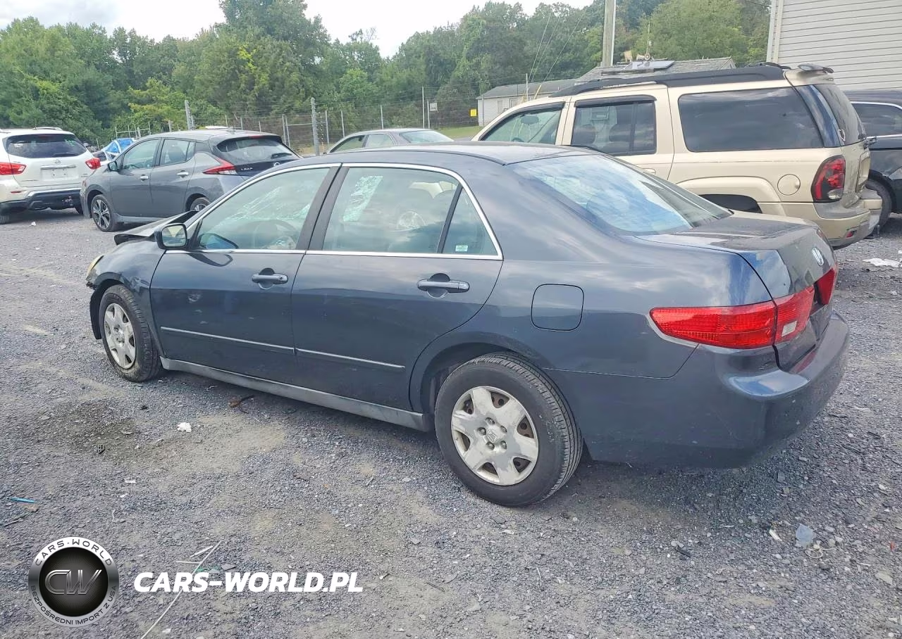 2005 Honda Accord Lx VIN:1HGCM55485A131772 - 2